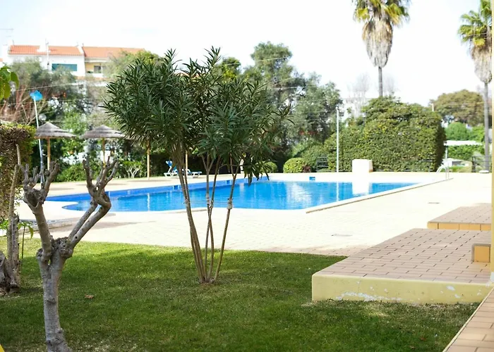 Oura 7 알부페이라